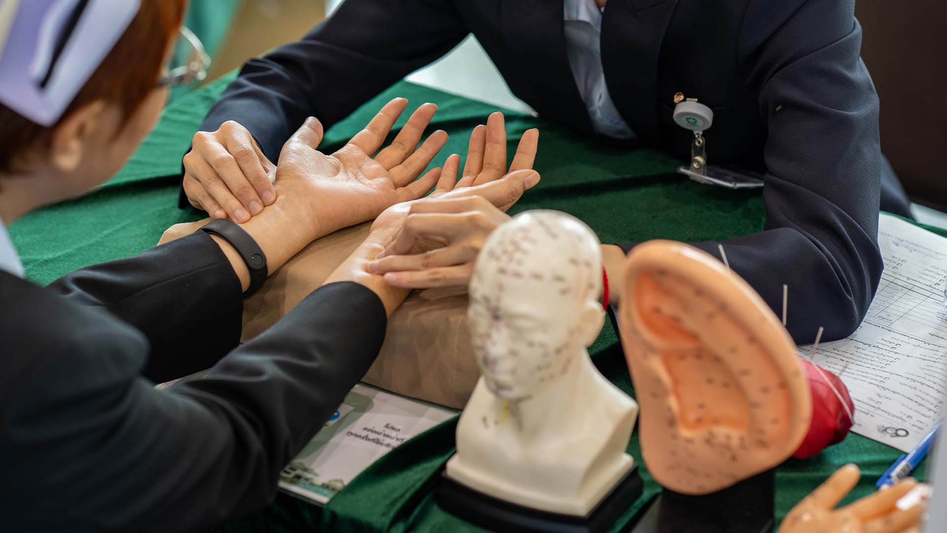 Therapists demonstrating polyvagal techniques, including touch-based assessments, with anatomical models on a table in a professional setting.