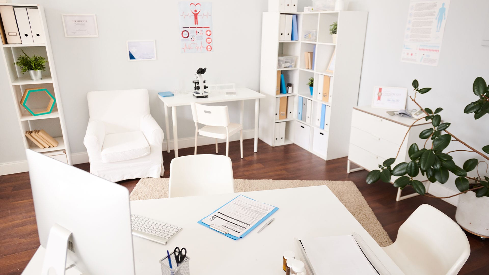 modern therapy office with white furniture, plants, and calming decor