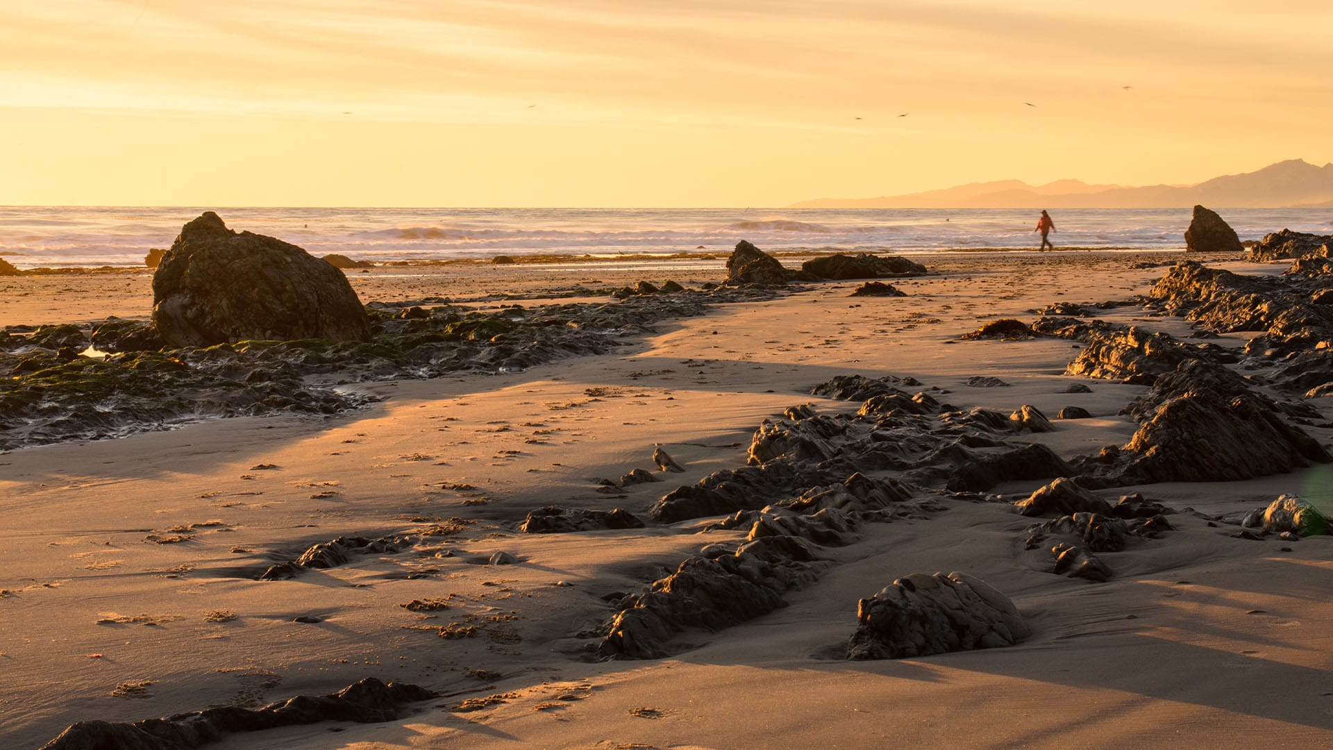 Sunset on a rocky California beach with a lone figure walking, symbolizing the struggle of high-functioning individuals unable to relax even on vacation.