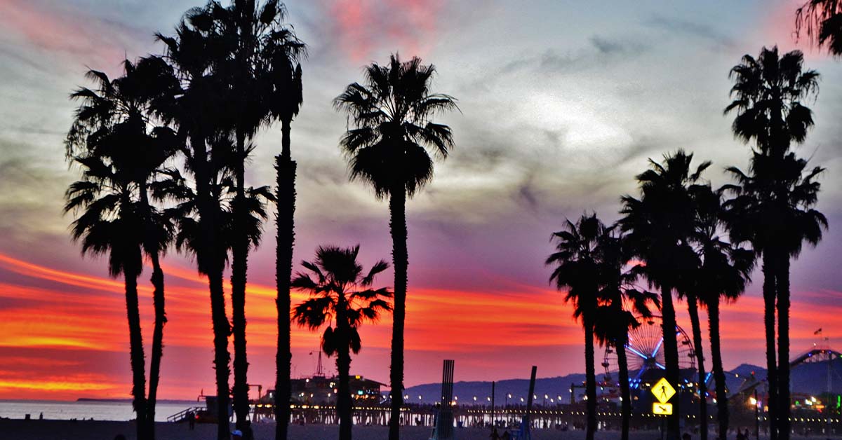 Silhouetted palm trees against a vivid red, orange, and purple sunset sky over a beach, with the Santa Monica Pier, its Ferris wheel, and string lights glowing in the background.